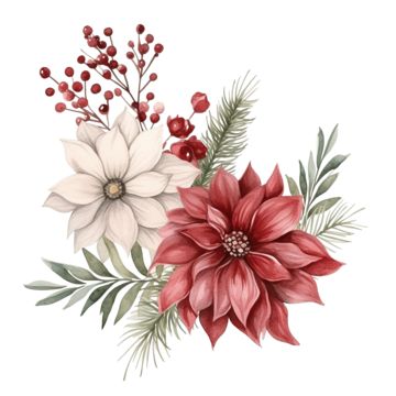 Winter Flower Drawing, Winter Floral Tattoo, Christmas Plants Illustration, Winter Flowers Drawing, Watercolor Christmas Flowers, Christmas Flowers Watercolor, Christmas Floral Illustration, Poinsettia Flower Drawing, Christmas Flower Painting