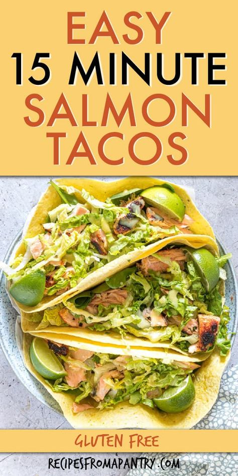 This easy salmon tacos recipe is a super quick no-fuss meal. With just a handful of everyday ingredients and 15 minutes, you can whip up this amazing dish. Take your Taco Tuesday in a whole new direction with these super tasty healthy seafood tacos with a spicy sauce and crunchy veggies! Full of Mexican flavors and easily adaptable, they're sure to become a family favorite. #taco #mexican #salmontacos  #tacos #salmon #glutenfree Salmon Tacos Recipe With Slaw, Healthy Salmon Tacos, Canned Salmon Tacos, Salmon Taco Recipes, Salmon Tacos Recipe Easy, Salmon Tacos With Slaw, Easy Salmon Tacos, Salmon Fish Tacos, Easy Shrimp Tacos