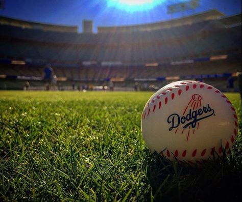 Dodgers Baseball Dodgers, Dodgers Players, Dodgers Mookie Betts, Dodger Dog, Dodgers World Series, Let's Go Dodgers, Dodgers Nation, Dodger Game, La Dodgers Baseball