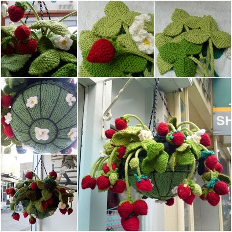 This is one of the most beautiful knitted things I think I have ever seen. What a wonderful hanging basket. It looks so warm and welcoming. It’s easier to make this as you thought. If you love knitting, you should really try this as your next project. Photo credit from … Strawberry Hanging Basket, Cactus En Crochet, Crochet Idea, Crochet Strawberry, Confection Au Crochet, Crochet Cactus, Crochet Plant, Strawberry Plants, Crochet Food