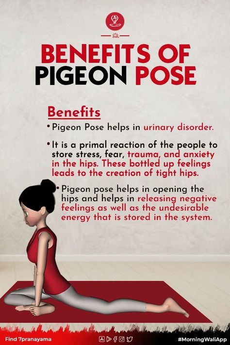 Pigeon pose is actually a type of advanced pose, One-Legged Pigeon Pose yoga which is also known as Eka Pada Rajakapotasana. Pilates Tips, Body Fitnes, Pigeon Pose Yoga, Asana Yoga Poses, Awakening Women, Frog Pose, Nerve Anatomy, Learn Yoga Poses, Asana Yoga