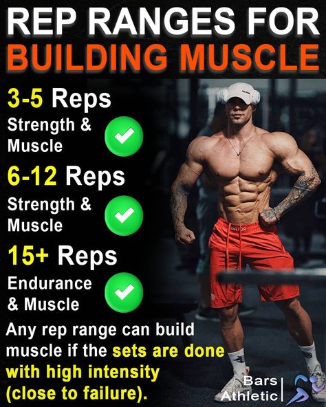 Rep Ranges, Weight Lifting Tips, Gym Guide, Build Muscle Fast, Gym Interior, Workout Tips, Wallpaper Images, Gym Workout Tips, Training Plan