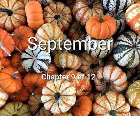 Hello September Chapter 9 Of 12, August Chapter 8 Of 12, September Chapter 9 Of 12, Monthly Backgrounds, Monthly Reminders, Holiday Season Quotes, Sagittarius Wallpaper, New Month Wishes, New Month Quotes