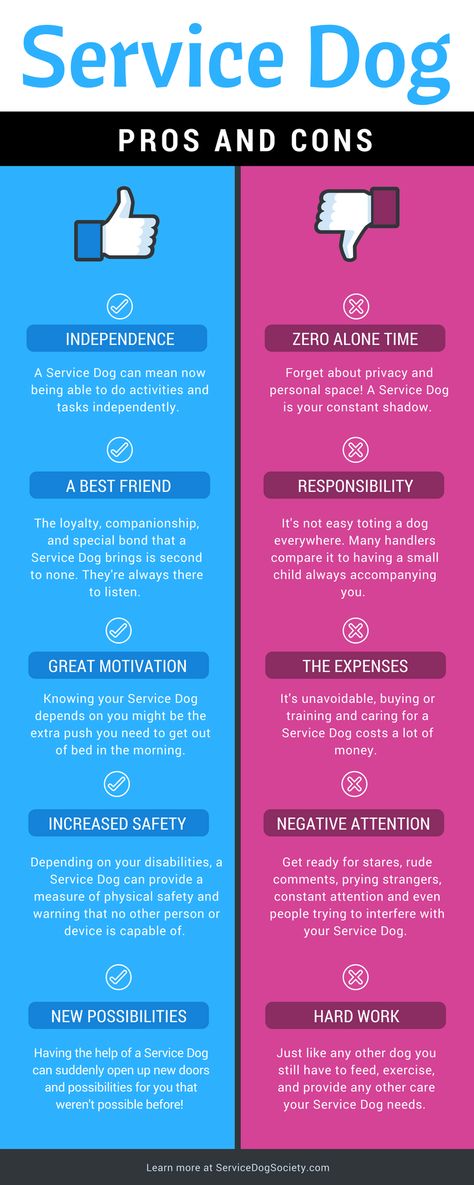 Service Dogs aren't all fun and games. There are up and downsides to being a handler.   Learn more in our Service Dog Pros and Cons Infographic: Service Dogs Breeds, Dog Types, Dog Infographic, Psychiatric Service Dog, Detection Dogs, Service Dogs Gear, Service Dog Training, Emotional Support Dog, House Training Dogs