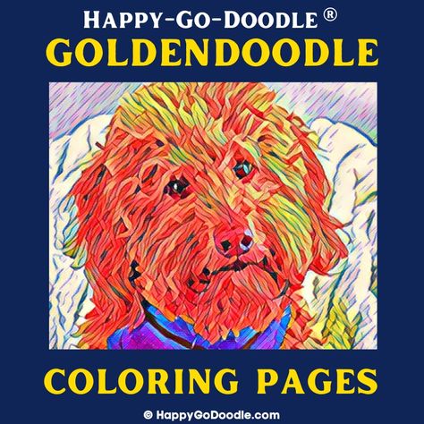 Free Goldendoodle Coloring Pages 🎨 For Oodles of Cuteness Teddy Bear Goldendoodle, Goldendoodle Mom, Fluffy Teddy Bear, Dog Puns, Garden Coloring Pages, Cute Captions, Dog Obsessed, Teddy Bear Dog, Coat Of Many Colors