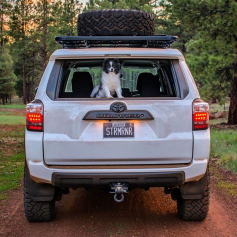 Four Runner Aesthetic, Forerunner Toyota, Four Runner Toyota, 4 Runner Aesthetic, Green 4runner, 4runner Camping, Toyota 4runner Interior, 4runner Overland, 4 Runner Toyota