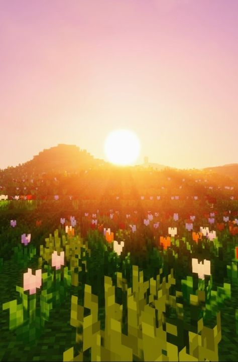 Minecraft Sunset, Minecraft Update, Build Minecraft, Minecraft Mod, Minecraft, Sun, Flowers