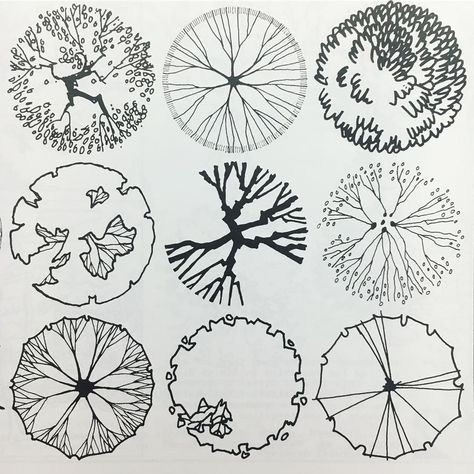 Troy Donovan on Instagram: “Trees in plan • #architecturaldetail #arquitectura #arqsketch #design #detail #architecturelovers #archdaily #lowressketching #architecture…” Section Drawing Architecture, Architectural Trees, Landscape Architecture Plan, Landscape Design Drawings, Landscape Architecture Drawing, Tree Plan, Architecture Drawing Plan, Drawing Interior, Seni Dan Kraf