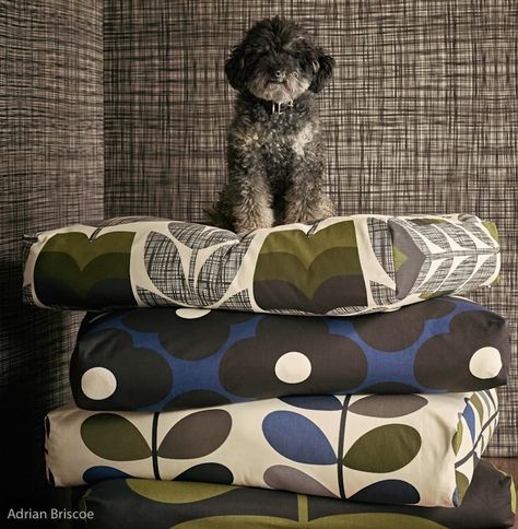 Orla Kielt range of home furnishing fabrics Orla Kiely Fabric, 70s Interior Design, 70s Interior, Interior Decorating Styles, Wallpaper Magazine, Flower Fabric, Orla Kiely, Fabric Houses, Wallpaper Calculator