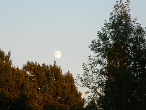 the moon in the daytime sky Daytime Moon Aesthetic, Moon In The Daytime, Daytime Moon, Pretty Moon, Pretty Skies, Moon Aesthetic, Pretty Sky, We Fall In Love, Junk Drawer