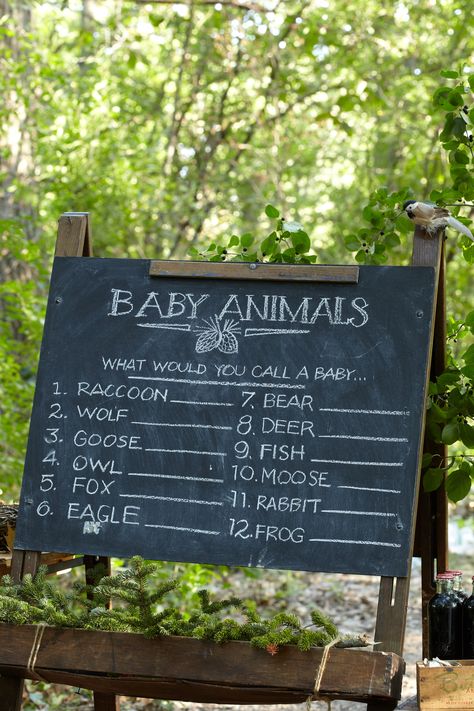 Baby Animal Name Game. Put guests to the test naming newborns from the animal kingdom. Baby Animal Name Game, Enchanted Forest Baby Shower, Bos Baby, Baby Animal Names, Woodland Theme Baby, Woodland Creatures Baby Shower, Fairy Baby Showers, Forest Baby Showers, Name Game