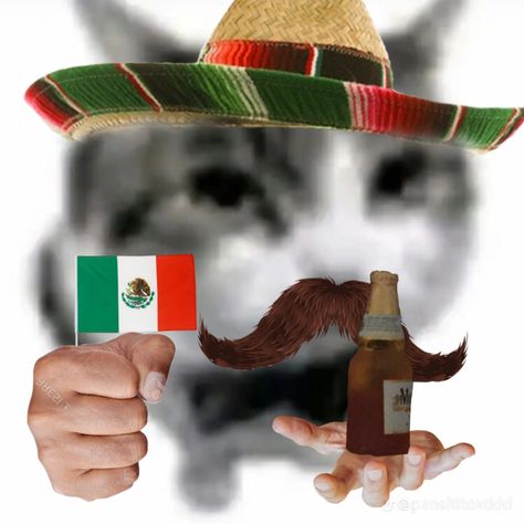 Random Stuff, Memes, Funny, Quick Saves, Mexico