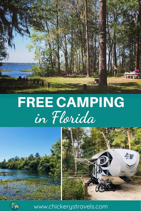 Learn where you can camp for free in Florida. Save money on your next RV camping trip by staying in one of several free campsites across the state. There is plenty of room for big rigs and motorhomes, and the whole family will enjoy the space for their travel trailer and small campers. Camping In Florida, Florida Campgrounds, Winter In Florida, Florida Camping, Dry Camping, Florida Water, Best Campgrounds, Camping Destinations, Camping Locations