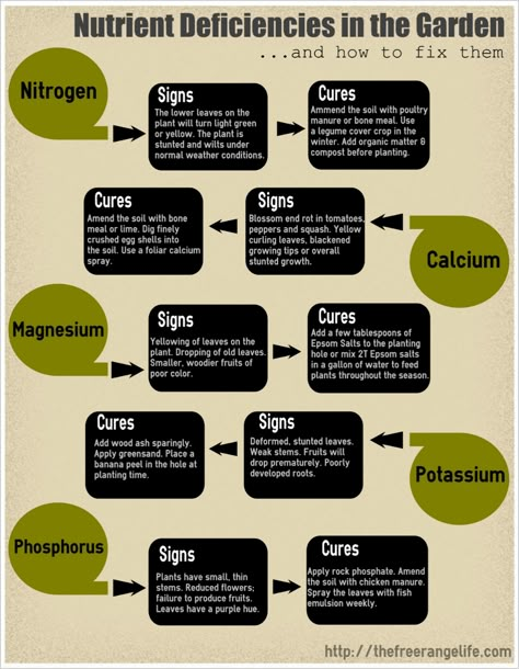 Nutrient Deficiency, Soil Improvement, Food Garden, Composting, Yard And Garden, Garden Soil, Veggie Garden, Growing Food, Farm Gardens