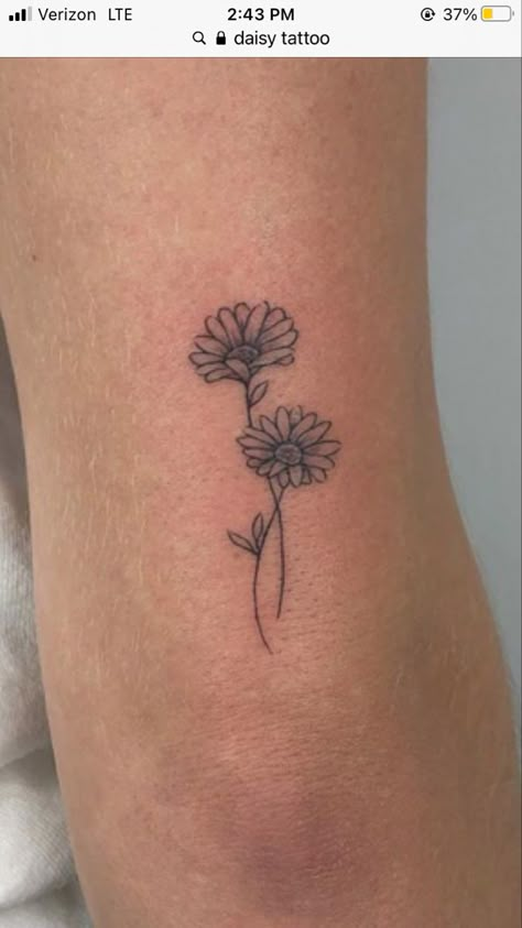 Two Daisy Tattoo, Daisy Hip Tattoo, Red Daisy Tattoo, Daisy Wrist Tattoo, Gerber Daisy Tattoo, Daisy Chain Tattoo, Daisy Flower Tattoos, Chain Tattoo, Me Tattoo