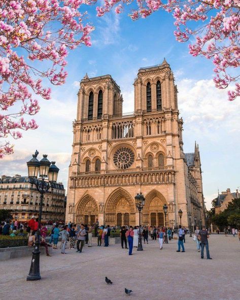 Notre Dame Cathedral, Gothic Cathedral, Paris Pictures, Paris City, World Pictures, Dream City, Sell Online, Paris Travel, Dream Destinations