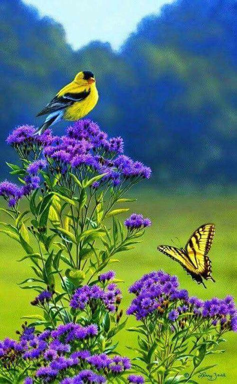 Yellow Bird and Yellow Butterfly Yellow Bird, Goldfinch, Backyard Birds, Cane Corso, Pretty Birds, Colorful Birds, Sphynx, Little Birds, Purple Flower