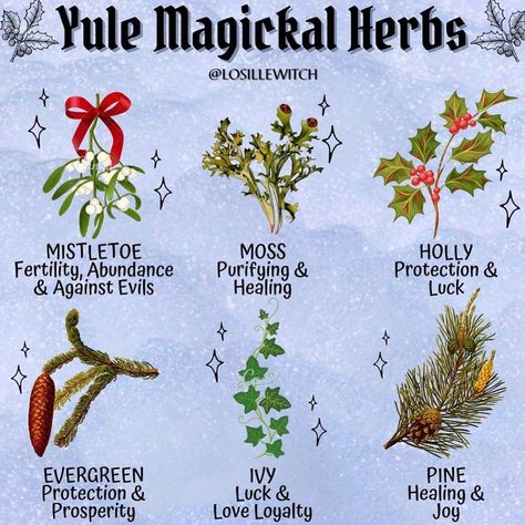 Witchcraft Community on Instagram: “🌿What are your Yule plans? 🌲 . Love these holiday specific magical herbs from @losillewitch ! . Follow @occult.ish for witchy tips,…” Winter Solstice Rituals, Yule Traditions, Yule Crafts, Pagan Christmas, Yule Celebration, Winter Solstice Celebration, Pagan Yule, Happy Winter Solstice, Magickal Herbs