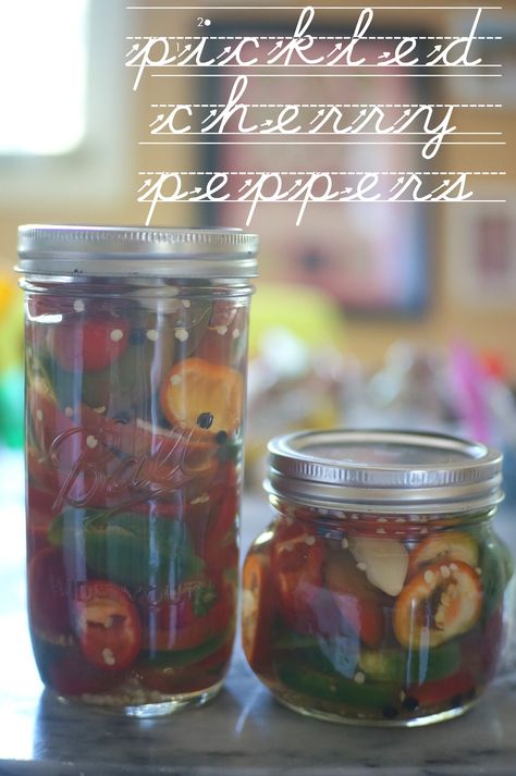 Pickled Hot Cherry Peppers Recipe, Pickled Cherry Peppers Recipe, Pickled Cherry Peppers, Cherry Pepper Recipes, Cherry Bomb Pepper, Hot Pepper Recipes, Pickled Banana Peppers, Pickled Foods, Cherry Peppers