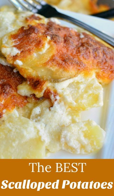 Best Ever Scalloped Potatoes Recipe, Scalloped Potatoes With Cream Cheese, Cream Cheese Scalloped Potatoes, The Best Scalloped Potatoes Ever, Potatoes In Cream Sauce, The Best Scalloped Potatoes, Potatoes With Cream Cheese, Appetizer Toasts, Easy Cheesy Scalloped Potatoes