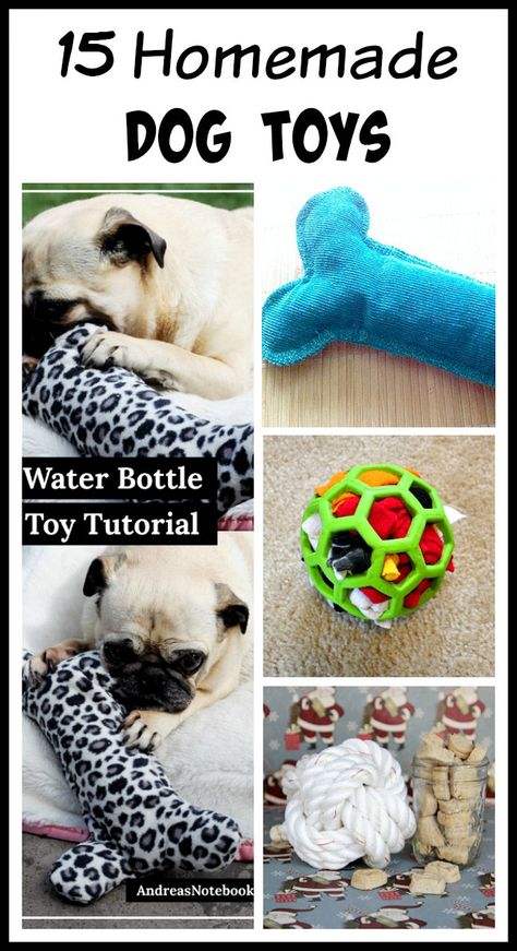 Homemade Dog Toys, Dogs Diy Projects, Puppy Obedience Training, Diy Pet Toys, Diy Dog Toys, Dog Diy, Tons Of Money, Basic Dog Training, Best Dog Toys