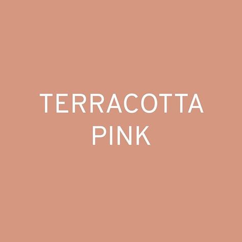 ALINA SCHARTNER on Instagram: “Colour in context: Terracotta Pink Simple description: an earthy pink Notes for usage: As the fascination with Millenial Pink is slowly…” Pink Notes, Earthy Pink, Pink Terracotta, Terracotta Pink, Millenial Pink, Pink Color Palette, Natural Luxury, Hair Boutique, Ultramarine Blue