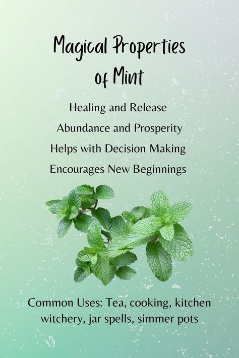 Mint Properties Magic, Herb Meanings, Outdoor Meditation, Jar Spells, Make Tea, Magic Herbs, Kitchen Witchery, Magical Herbs, Herbal Healing