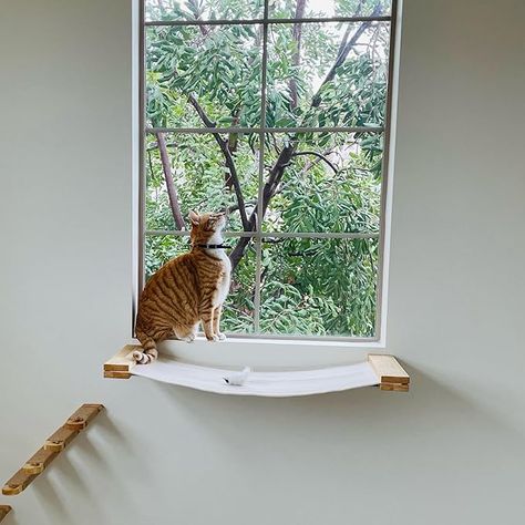 Cat Wall Shelf, Cat Window Hammock, Kat Diy, Cat Stairs, Cat Window Perch, Window Perch, Diy Hammock, Cat Wall Shelves, Cat Wall Furniture