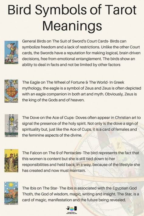 The bird symbolism meanings of Tarot cards for beginners! If you’re just learning how to read Tarot or practice divination and fortune telling, then learning the interpretations of signs and symbols is a good place to spend your time! Here, I am going to show you the meanings of the birds on The Rider Waite Tarot Card Deck including The Star, 9 of Pentacles, Ace of Cups, Wheel of Fortune, The World and the Swords suit! #tarotcardsforbeginners 9 Of Pentacles, Bird Symbolism, Tarot Symbols, Kartu Tarot, Ace Of Cups, Rider Waite Tarot Cards, Learning How To Read, Tarot Interpretation, Tarot Significado