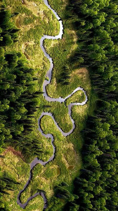 Amazon River Photography, River Aerial View, River From Above, Journey To The River Sea, Trees From Above, Landscape From Above, Books I Read, Rain Wallpapers, Books For Adults