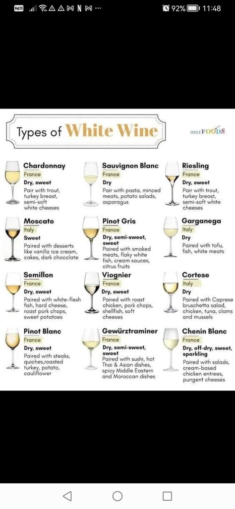 Moscato Pairing, Alcohol Knowledge, Wine And Beer Fridge, Types Of White Wine, Types Of White, Wine Ideas, Restaurant Experience, Fruity Wine, Wine Coolers Drinks