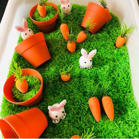 The hashtag for #sensorybin brings me so much inspiration for bins to create for my little loves! This bunny bin from @georges.boy.gang is… Boy Gang, Easter Sensory, Sensory Tables, Spring Themes, Kindergarten Classrooms, Toddler Sensory Bins, Sensory Tubs, Education Major, Be Proactive