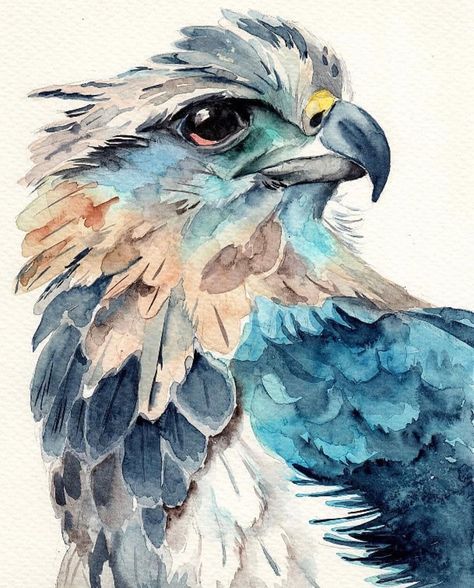 Bird Art Watercolor, Watercolour Painting Inspiration, Watercolor Cute Animals, Watercolour Birds, Bird Watercolor Art, Painting Birds, Paintings Landscape, Animal Watercolor, Watercolor Blog