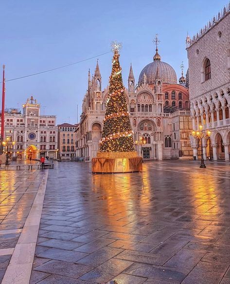 Beautiful Italy 🇮🇹 on Instagram: “Venice, Italy 📸: @enzoborriello #venice #italy” Italian Christmas Traditions, Christmas In Rome, Christmas In Italy, Merry Christmas Tags, Visit Venice, Santa Lucia, Noel Christmas, Venice Italy, Italy Travel