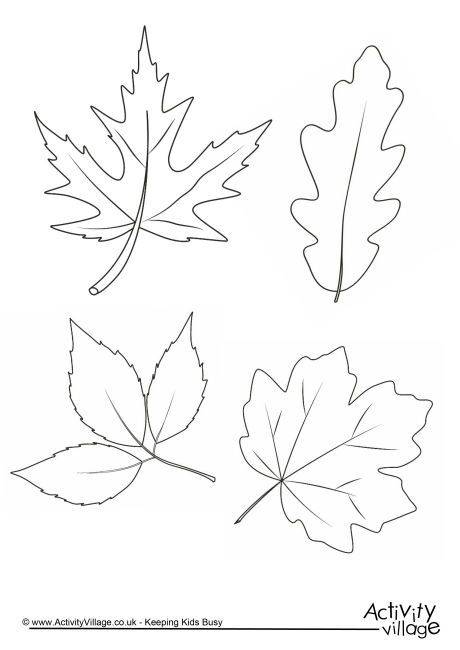 Autumn Leaf Drawing, Easy Drawings Step By Step, Fall Leaves Drawing, Leaves Drawing, Leaf Coloring Page, Autumn Leaves Art, Autumn Leaf Color, Easy Drawing Steps, Single Line Drawing