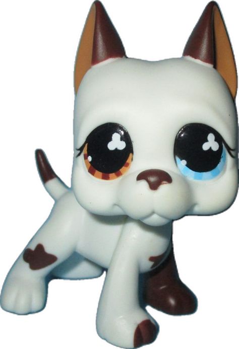 Lps Great Dane, Lps Dog, Lps Pets, Dane Dog, Great Dane Dogs, Littlest Pet Shop, Great Dane, Memory Lane, Lps