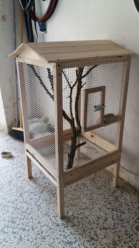 Diy Bird Cage How To Make, Bird Cage Ideas, Easy Dog House, Reban Ayam, Budgie Cage, Cockatiel Cage, Diy Bird Cage, Birds Cage, Bird Cage Design