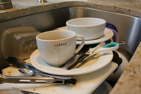 Washing Dishes vs. Using the Dishwasher The Dishwasher, Dirty Dishes, Saving Ideas, Washing Dishes, Frugal Living, 2 Months, In My Life, Hand Washing, A Month