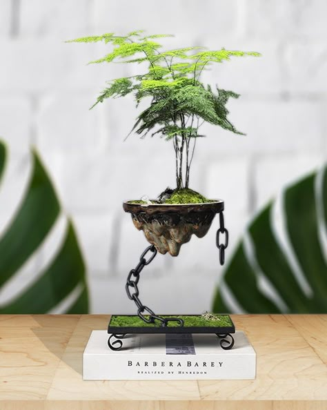 Floating Ceramic Planter, Levitating Plant Holder, Rich Tree Bonsai, Flower Pot w/ Chain Suspension, Bonsai Planter Pot, Gift for Planters. Material: Metal, Ceramic, porcelain Size: Circle: Height 21 cm Lenght 17.5 cm Width 17.5 cm Weight 1200g Square: Height 20.5 cm Lenght 21 cm Width 14.5 cm Weight 1225g Product Description: The Floating Ceramic Planter is a unique and eye-catching addition to your indoor garden. With its rockery design and handmade craftsmanship, this bonsai planter pot adds Bonsai Decor, Floating Pots Plants, Bonsai Display, Bonsai Accent Plants, Bonsai Pottery Handmade, Bonsai Pots Pottery Handmade, Unique Ceramics Pots & Planters, Bonsai Planters Ceramics, Mini Zen Garden