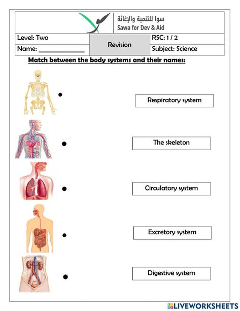 Body Systems Worksheets, Skeletal System Worksheet, Grade 2 Science, Biology Worksheet, Worksheets For Grade 3, Teachers Resources, Science Notebook, Interactive Science, Barbie Coloring