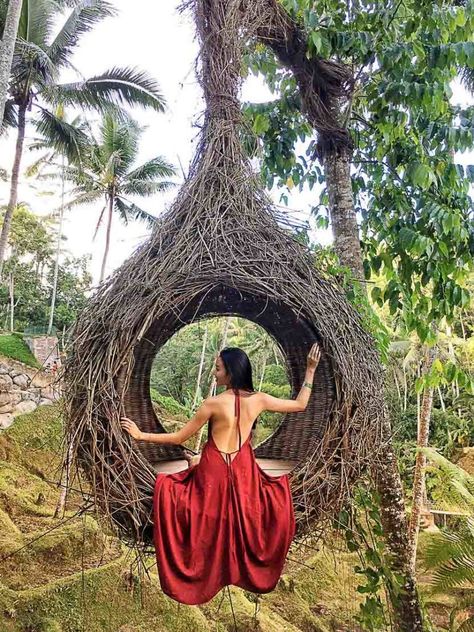 You will human-sized birds nests littered throughout Ubud. Lombok Travel, Places In Bali, Bali Travel Photography, Inspired Photos, Hotel Secrets, Travel Bali, Asian Travel, Instagram Places, Bali Vacation