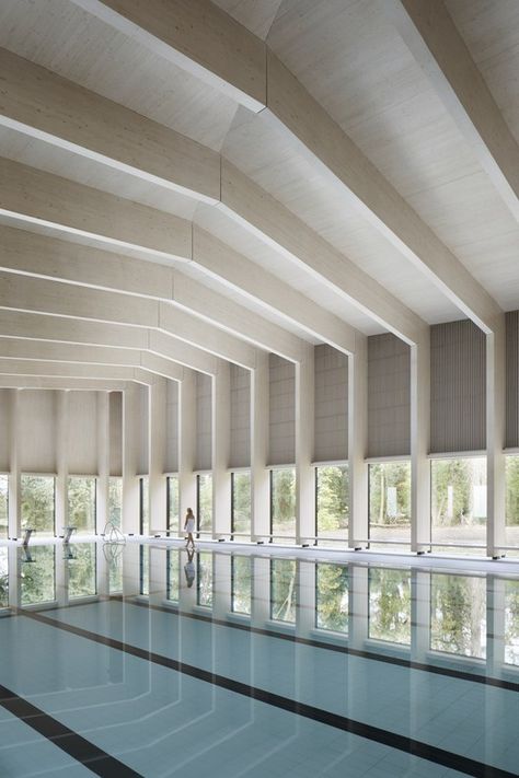 Freemen’s School Swimming Pool / Hawkins\Brown | ArchDaily School Swimming Pool, Indoor Swimming Pool Design, Swimming Pool Architecture, Piscina Interior, Indoor Pools, Indoor Swimming Pool, Rectangular Pool, Wood Architecture, Building A Pool