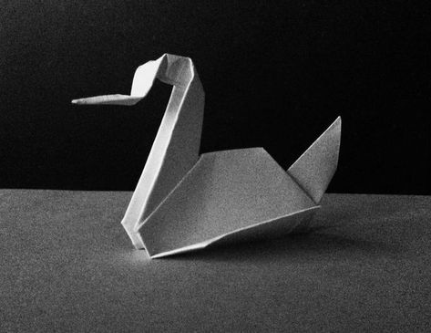 Paper Swan Aesthetic, First Lie Wins Aesthetic, Prison Break Aesthetic, Prison Break Origami, Picky Picks, Black Swan Tattoo, Prison Break 3, Paper Swan, Good Truth Or Dares