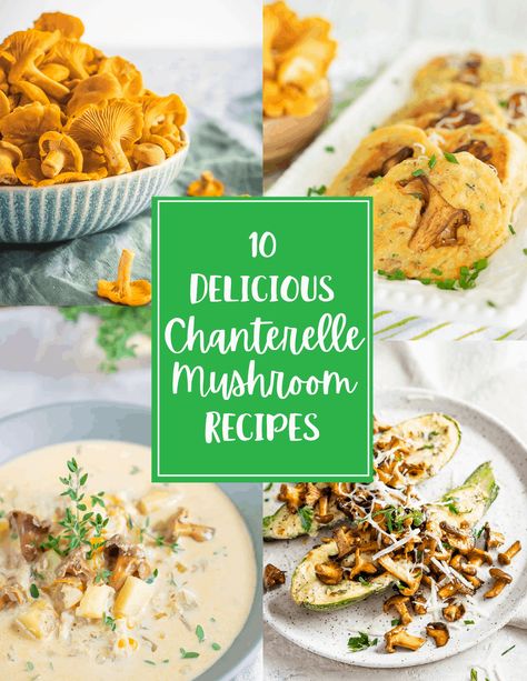 You can't go wrong simply sautéing chanterelles in butter but trust me there's so many other options to try! I've put together 10 Delicious Chanterelle Mushroom Recipes to help you get creative in the kitchen and enjoy one of the best summer mushrooms! #chanterelles #chanterellemushrooms Chanterelle Mushroom Soup Recipes, Chanterelle Soup Recipes, Dried Chanterelle Mushroom Recipes, Recipes With Chanterelle Mushrooms, Chantelle Mushrooms Recipes, Vegan Chanterelle Recipes, Unique Mushroom Recipes, How To Cook Chanterelle Mushrooms, Chanterelles Mushrooms Recipes