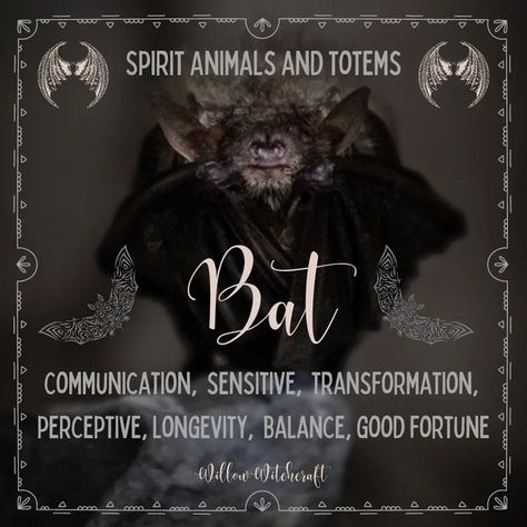 Seeing Bats Spiritual Meaning, Bats In Witchcraft, Bat Spiritual Meaning, Bat Spirit Animal Meaning, Bat Symbolism, Animal Totem Spirit Guides, Spirit Animal Meaning, Totem Animals, Animal Meanings