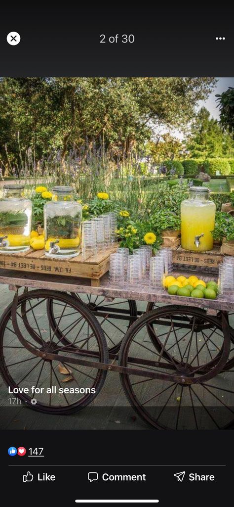 Limoncello Wedding, Italian Bridal Showers, Lemon Themed Party, Diy Wedding Food, Italian Dinner Party, Italian Party, Tuscan Wedding, Italian Dinner, Lemon Decor