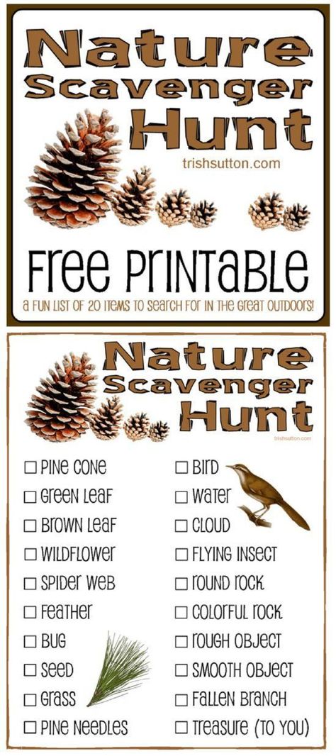 Nature Scavenger Hunt for Kids; Free Printable for youth group, camping, hiking, kids activities. TrishSutton.com Nature Scavenger Hunt For Kids, Cheap Fall Crafts For Kids, Camping Hacks With Kids, Fall Scavenger Hunt, Nature Scavenger Hunt, Thanksgiving Games For Kids, Free Games For Kids, Fun Outdoor Games, Scavenger Hunt For Kids