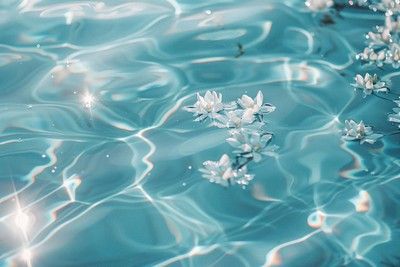 White water ripple flower outdoors. | Free Photo - rawpixel Water Background, Aqua Art, About Water, Water Ripples, Flower White, Water Flowers, Turquoise Water, Download Free Images, Art Background