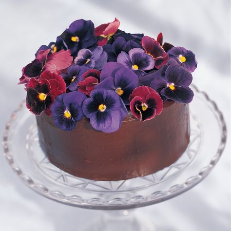 This rich cake is topped with edible flowers and makes any meal a celebration. Chocolate Ganache Glaze, Flower Recipes, Edible Flowers Cake, Chocolate Truffle Cake, Rich Cake, Ganache Frosting, Texas Sheet Cake, Pansy Flower, Cake Truffles