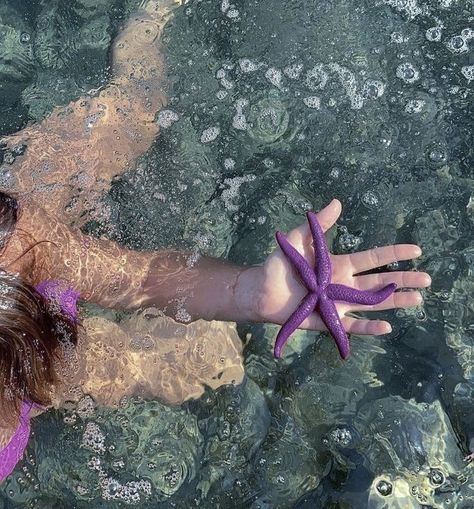 Purple Tropical Aesthetic, Summer Aesthetic Purple, Purple Sea Aesthetic, Purple Ocean Aesthetic, Purple Beach Aesthetic, Purple Summer Aesthetic, Purple Mermaid Aesthetic, Cute Photo Icon, Starfish Aesthetic